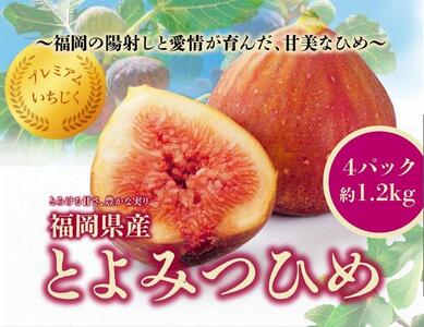 2026N8ȍ~Ƃ݂Ђ߁@SpbN1200gZbgisj