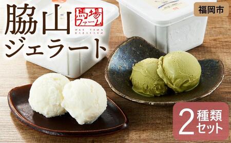 脇山ジェラート2種類セット
