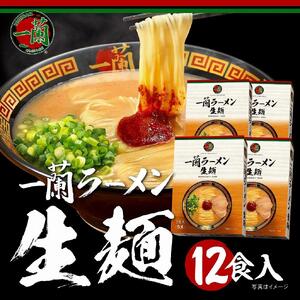 【福岡市】一蘭ラーメン生麺セット12食入（豚骨ラーメン）