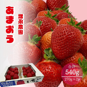 [2026年1月下旬発送開始]増永農園のあまおう270g×2パック