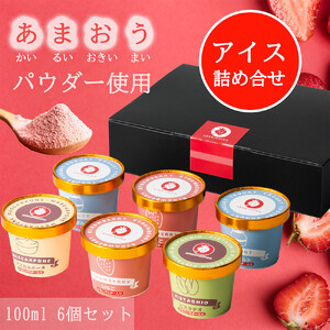 あまおうパウダー アイスクリーム 詰め合わせ[福岡市]100ml×6個入り