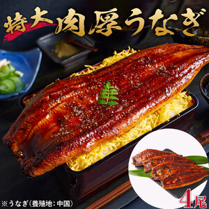 特大うなぎ蒲焼き無頭1本もの4尾セット 福岡市（中国産）