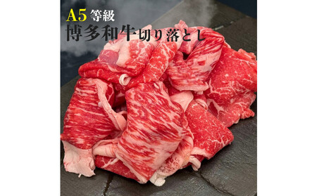 [A5-A4等級] 博多和牛切り落とし 1kg(500g×2)