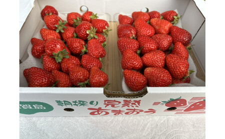 ǂ芮n܂荇킹1000@su꓇Y