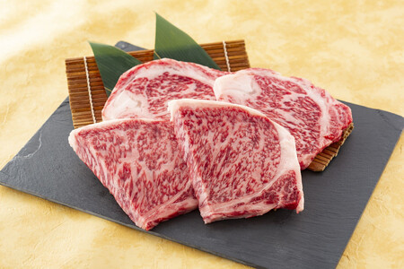 A4/A5等級 博多和牛 サーロインステーキ 3〜4人前 約500g