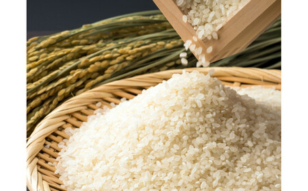 ��������̂��āu�߂��ہ@���C�����v�Tkg×�P�܁@�ߘa7�N�Y