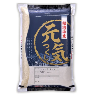 福岡県産 元気つくし 5kg (5kg×1袋) (令和7年産)