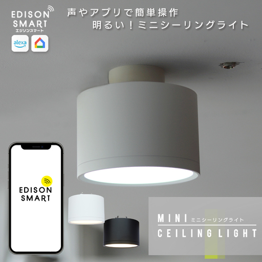 エジソンスマート ミニシーリングライト 引掛けシーリング用 福岡市[カラー選択可] ブラック