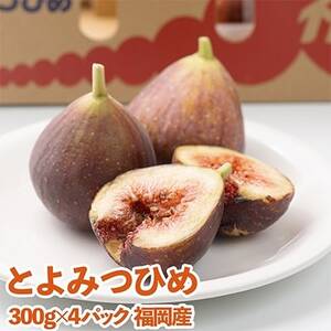 福岡ブランドいちじく「とよみつひめ」 約300g×4パック(大牟田市)[配送不可地域:離島・北海道・沖縄県・東北]