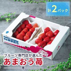 酸味と甘みの絶妙なバランス・冬あまおう2パック(大牟田市)[配送不可地域:離島・北海道・沖縄県]