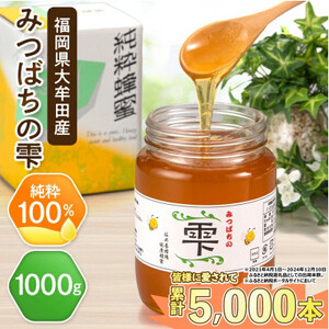 坂井養蜂場　みつばちの雫　1000g_調味料 はちみつ  ハチミツ 蜂蜜_【1111654】