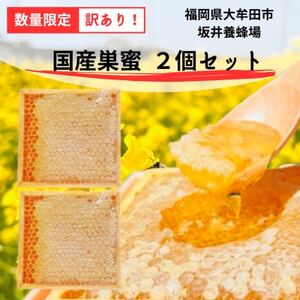 訳あり 国産巣蜜(コムハニー) 2個セット