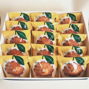 天草晩柑マドレーヌ(15個入り)_菓子・スイーツ 洋菓子    菓子・スイーツ 焼き菓子  _【1556247】