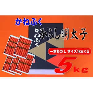 ˂ӂ 5kg(1kg×5)hqq LTCY(1{)(喴cs)_ECY q  ߂񂽂_yzsnFzy1571161z