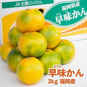 [先行受付]福岡オリジナルブランド 蜜柑 早味かん 2kg(大牟田市)_果物・フルーツ みかん ミカン 蜜柑_[配送不可地域:離島]