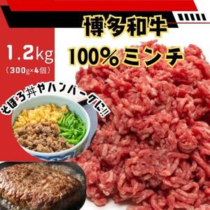 a100%~`(ғ)y󂠂z1.2kg(300g×4)(喴cs)yzsnFzy1608341z