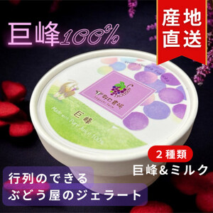 @100%Ƌƃ~Ñ~bNXWF[g(e80ml3@v6Zbg)(喴cs)yzsnFzy1625457z