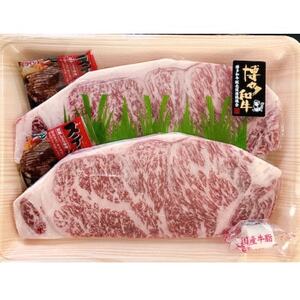 A4ランク以上 博多和牛サーロイン ステーキ 約250g×2枚[配送不可地域:離島]