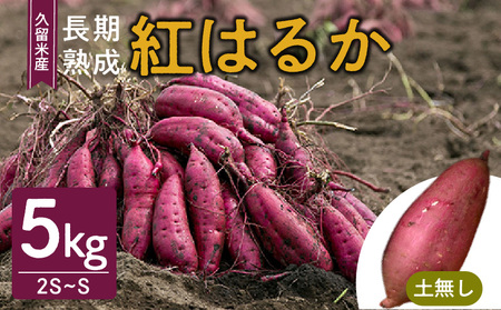 福岡県久留米市産 長期熟成紅はるか 5kg 2S〜S 土なし