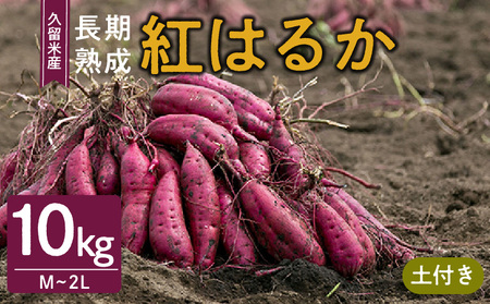 vĎsY@ng͂邩 10kg@M`2L@yt_Gx040