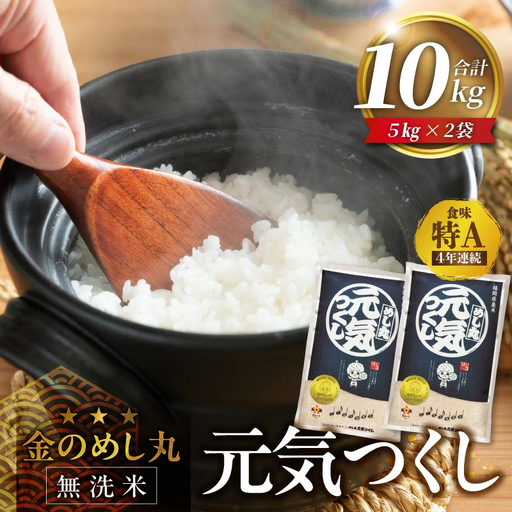 【無洗米】金のめし丸元気つくし 10kg（5kg×2袋）令和7年産_ 米 〔Gr057〕