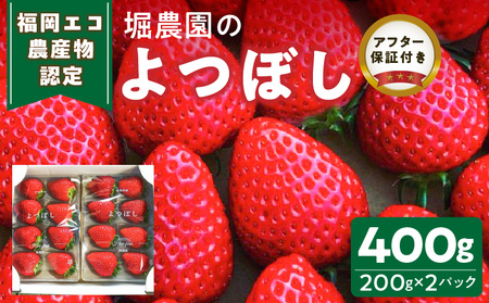 [先行予約]福岡県エコ農産物認定 堀農園のよつぼし400g_[先行予約] エコ農産物認定 堀農園 よつぼし 200g × 2パック 計 400g 完熟 食べ頃 いちご チルド便 適度 食感 酸味 強くない 豊か 風味 広がる バランス 四つ星級 お取り寄せ 福岡県 久留米市 送料無料_Fi073