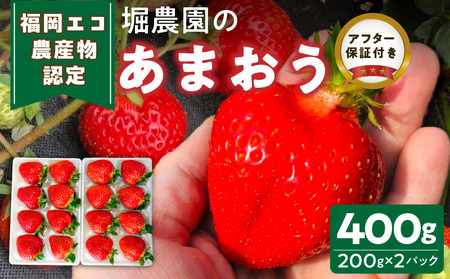 GR_YF@x_̂܂400g_GR_YF x_ ܂ 200g × 2pbN v 400g n H׍  `h 嗱 Â 悢 _ oX ▭ ʏ` W[V[ 