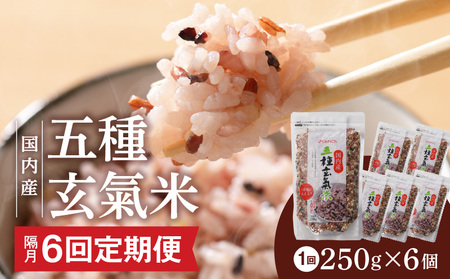 yu6@ցzY ܎팺 250g×6 1500g×6_Y ܎팺 250g×6 ͂ 6  uh G ԕ 邿   Ε v`v` 