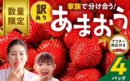 [数量限定][訳あり]ファミリー向け あまおう約270g×4パック_あまおう 270g 4パック 国産 福岡県産 ブランドいちご アフター保証 食べ方いろいろ 甘い 果物 フルーツ ストロベリー 苺 エコファーマー認定農家 お取り寄せ スイーツ デザート 家庭用 福岡県 久留米市 送料無料_Fi072