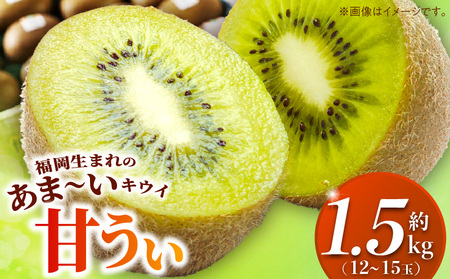 甘うぃ1.5kg箱_甘い キウイ 甘うぃ キウイフルーツ 1.5kg 国産 甘みの強い 果実 黄色味 福岡 オリジナル品種 濃厚 まろやか 高糖度 フルーツ 果物 ヨーグルト スムージー ジュース デザート 福岡県 久留米市 お取り寄せ お取り寄せフルーツ 送料無料_Fx019