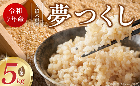 [令和7年産 新米]福岡県産ブランド米夢つくし 玄米 5kg_夢つくし 玄米 内容量 5kg 福岡県産 ブランド米 鮮度抜群 新鮮 福岡生まれ 品種 艷やか 光沢 ふっくら やわらか 食感 ご飯 おにぎり 弁当 お米 食品 お取り寄せ 九州 久留米産 福岡県 久留米市 送料無料_Gr063