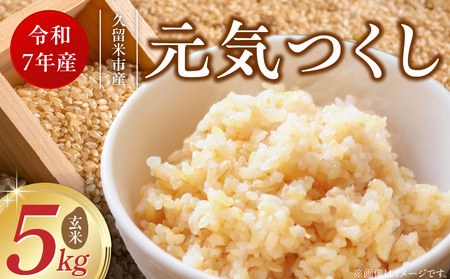 [令和7年産 新米]福岡県産ブランド米元気つくし 玄米 5kg_元気つくし 玄米 内容量 5kg 福岡県産 ブランド米 鮮度抜群 新鮮 福岡生まれ 品種 香り豊か ふっくら 食感 ご飯 おにぎり 弁当 お米 食品 お取り寄せ 九州 久留米産 福岡県 久留米市 送料無料_Gr067