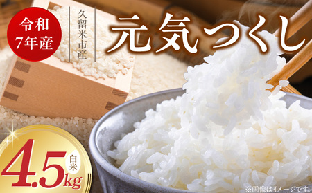 [令和7年産 新米]福岡県産ブランド米元気つくし 白米 4.5kg_元気つくし 白米 内容量 4.5kg 福岡県産 ブランド米 精米 鮮度抜群 新鮮 福岡生まれ 品種 香り豊か ふっくら 食感 ご飯 白ご飯 おにぎり 弁当 お米 食品 お取り寄せ 九州 久留米産 福岡県 久留米市 送料無料_Gr069