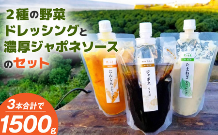 無添加ドレッシングと濃厚ジャポネソースのセット(500g)計3本_2種 野菜 ドレッシング ジャポネソース 各 500g 計 3本 セット 非加熱 生酵素 低オイル ヘルシー 人参 玉ねぎ 甘み 癖になる 美味しさ 玉ねぎ 人参 フレッシュ 濃厚 洋食店の味 万能 ソース お取り寄せ 福岡県 久留米市 送料無料_Cd021-01