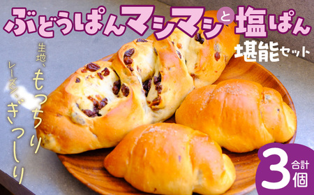 ぶどうぱんマシマシと塩ぱん 堪能セット _ ぶどう 専門店 ぶど 堪能 セット 1個 370g前後 塩 × 2個 1あたり70g前後 レーズン マシマシ しっとり もっちり 食パン生地 トースト 冷凍保存 朝食 昼食 ランチ お取り寄せ 福岡県 久留米市 送料無料 _Cx243