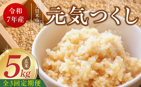 [定期便3回][令和7年産 新米]福岡県産ブランド米元気つくし 玄米 5kg×3回 _Tk076