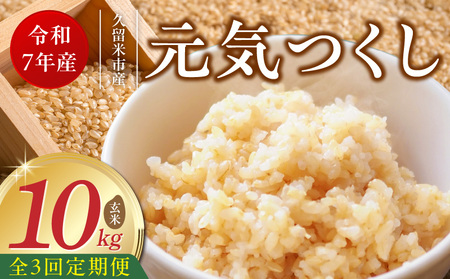 y3zyߘa7NY VāzYuhČC  10kg×3 _Tk077