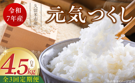 [定期便3回][令和7年産 新米]福岡県産ブランド米元気つくし 白米 4.5kg×3回 _Tk078