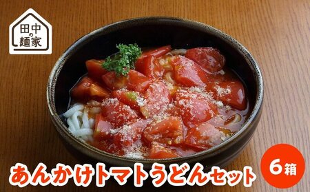 田中の麺家あんかけトマトうどんセット6箱_田中の麺家あんかけトマトうどんセット6箱_Bu003