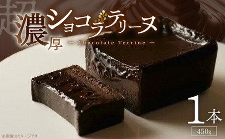 UNI ショコラテリーヌ _ ショコラ テリーヌ 450g × 1本 レア ガトーショコラ 濃厚 ねっとり 口当たり バニラアイス クッキー 相性がいい フォンダンショコラ お菓子 洋菓子 ケーキ スイーツ デザート おやつ お取り寄せ 福岡県 久留米市 送料無料 _Dw093
