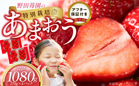 䕁i܂j270g×2pbN×2 _ ܂ 270g 2pbN 2 v 1080g Y  Xgx[ ʍ͔| F At^[ۏ S S  ʕ ʏ` t[c XC[c fU[g ① 