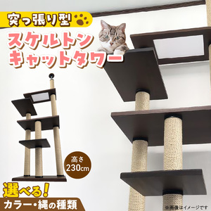スケルトンキャットタワー XLB-P（高さ230cm） _ キャットタワー スケルトン 突っ張り型 猫 猫用 透明 クリアボウル 家具調仕上げ インテリア 重厚感 高級感 多頭飼い おすすめ 運動不足解消 ストレス解消 安心 安全 耐久性 組立式 受注生産 日本製 国産 ペット用品 お取り寄せ 福岡県 久留米市 送料無料  〔Qx089-01〕