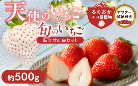 ���ʍ͔| �������� �V�g�̂������Ə{�̂������l�ߍ��킹�g���Z�b�g �i�ӂ������G�R�_�Y���j ��500g _ �{ ������ �l�ߍ��킹 �g���Z�b�g 2�p�b�N���� �� 500g �ӂ������G�R�_�Y�� �{�̂�����