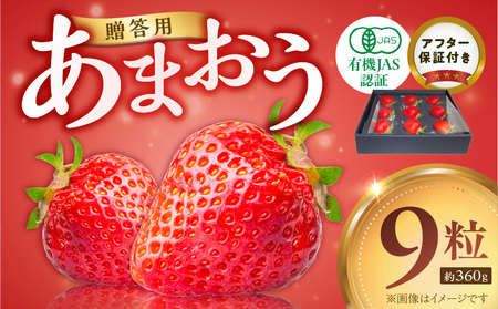 贈答用有機あまおうギフト9粒(約360g) _ 贈答用 有機 あまおう ギフト 9粒 約 360g オーガニック いちご ストロベリー 特別栽培 認証 アフター保証付き 安心 安全 上品な甘さ 艶 ジューシー 果物 果汁 フルーツ スイーツ デザート 冷蔵 贈り物 お取り寄せ 福岡県 久留米市 送料無料 _Fi079