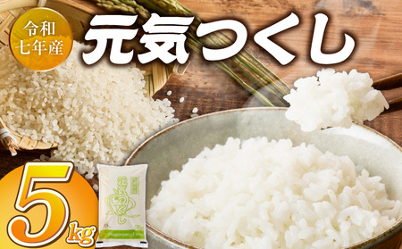 2025年新米 羽衣農園 元気つくし 白米 5kg _ 2025年 新米 福岡県産 精米 ブランド米 銘柄米 つやつや モチモチ 程よい粘り 冷めても美味しい ご飯 白ご飯 おにぎり 弁当 お米 食品 お取り寄せ 福岡県 久留米市 送料無料 _Gr074