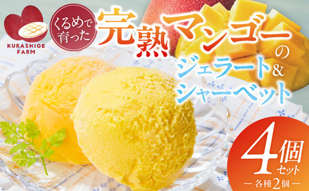 �y2026�N7�����͂��z���n�}���S�[�̃W�F���[�g���V���[�x�b�g130ml×4���� _Dw012-04