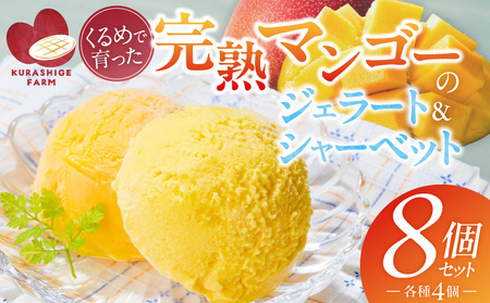 �y2026�N7�����͂��z���n�}���S�[�̃W�F���[�g���V���[�x�b�g130ml×8���� _Dw012-08