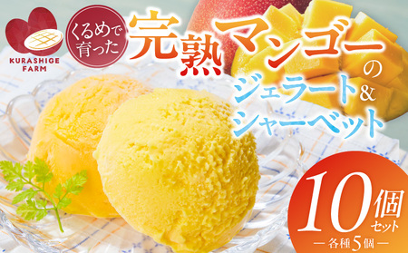 �y2026�N7�����͂��z���n�}���S�[�̃W�F���[�g���V���[�x�b�g130ml×10���� _Dw012-10