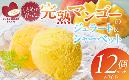 �y2026�N7�����͂��z���n�}���S�[�̃W�F���[�g���V���[�x�b�g130ml×12���� _Dw012-12