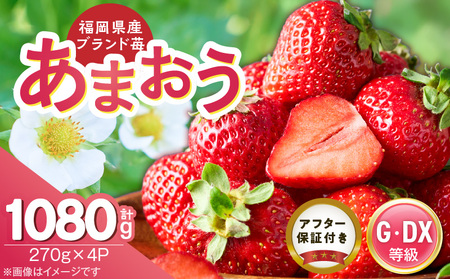 [2026年3月下旬より順次発送]あまおう苺(270g×4P) _ あまおう いちご 270g 4パック グレード グランデ デラックス アフター保証 ストロベリー 甘み 酸味 濃厚 果物 果汁 フルーツ おやつ スイーツ ケーキ スムージー ジャム デザート 食品 冷蔵 お取り寄せ 福岡県 久留米市 送料無料 _Fi082